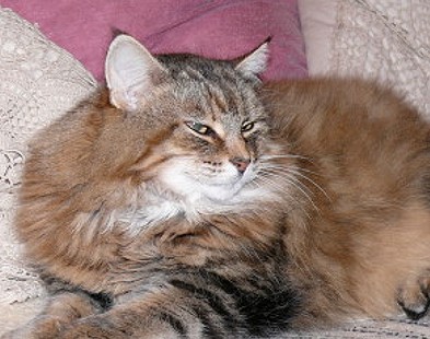 Bianca Nov. 07 seite