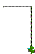 Blume2005 rechts