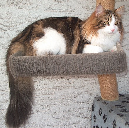 Dorian 1 Jahr sch�n liegend