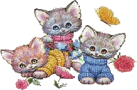 Drei Kitten