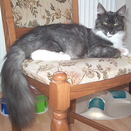 Fanny Juni 2013 liegend sch�n