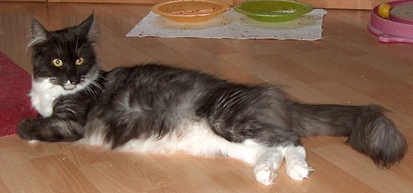 Funny Nov. 2014 liegend sch�n