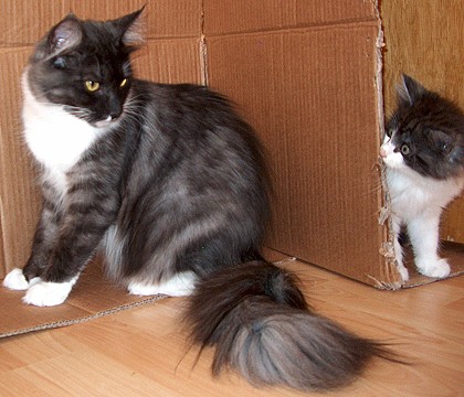 Funny Sep. 2013 sitzend sch�n