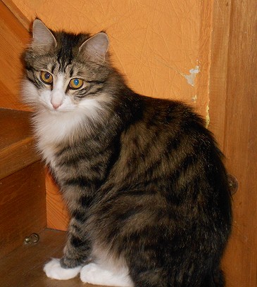 Gwendy sitzend Mai 2014