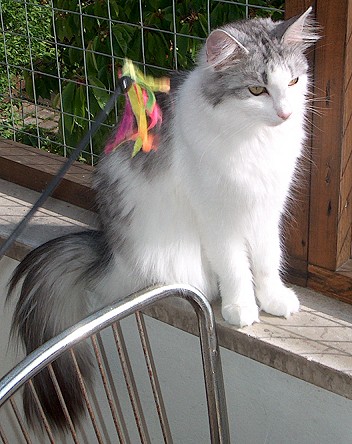 Jeanny Mai 2015 sch�n