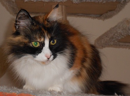 Larissa von vorne Mai 2014 gut