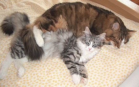 Ulana+B�rli Mai 2008