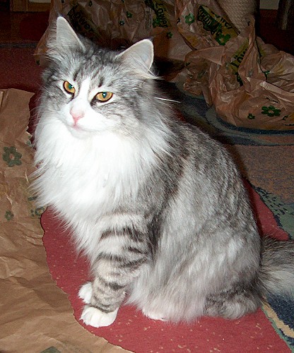 Ulana Feb. 09 von vorne sch�n