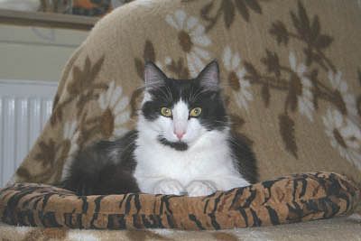 Xanto 1 Jahr von vorne