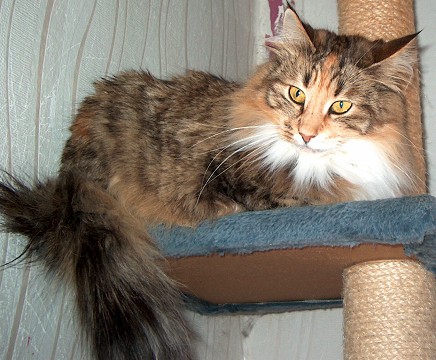 Yosie sch�n 30. Jan. 2015