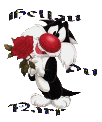 faschingskater